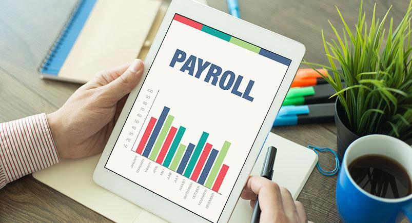 Studying payroll charts on a mobile device