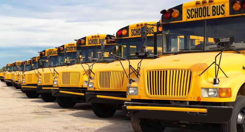 A fleet of school buses