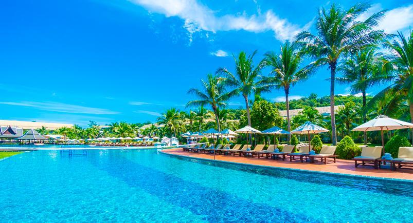 Pool with palm trees