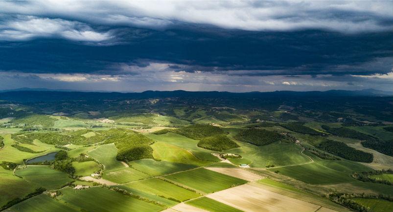 Fields in the agriculture industry