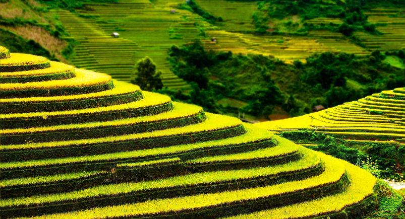 mu-cang-chai-stunning-mountains Mountains