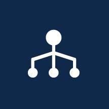 professional-services-system-integration