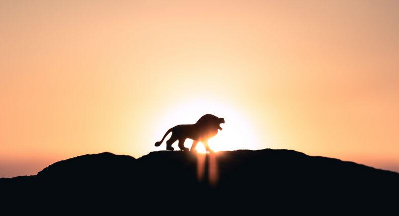 lion-king-movie-remakes Lion on a hill