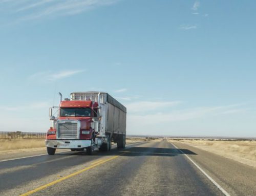 How to Best Manage Your ELD Woes
