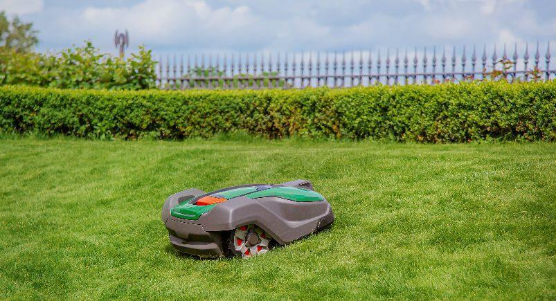 Robot mower cutting the grass