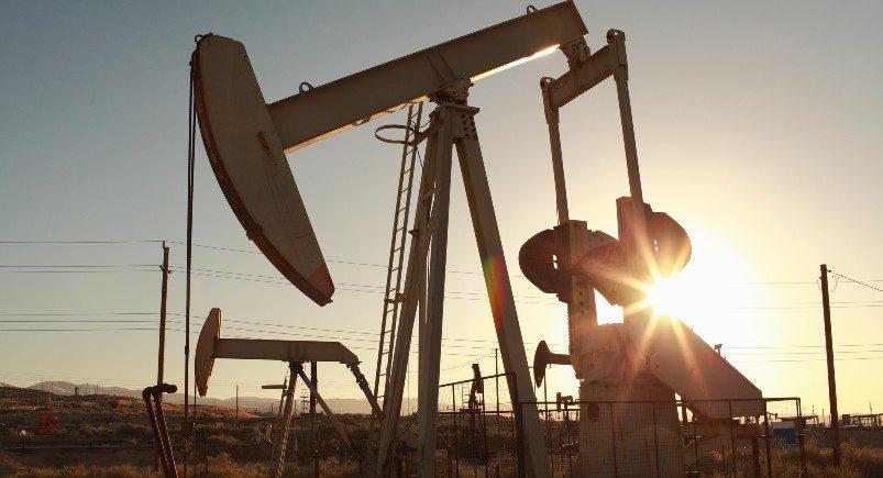 Harvesting oil in the field