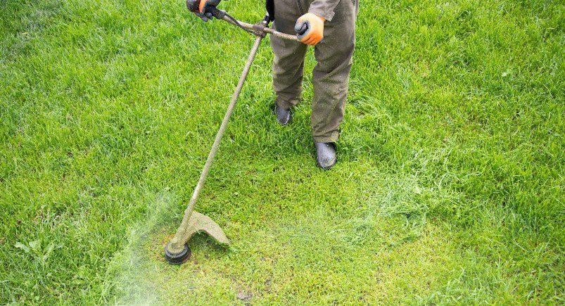 Landscaper cutting grass