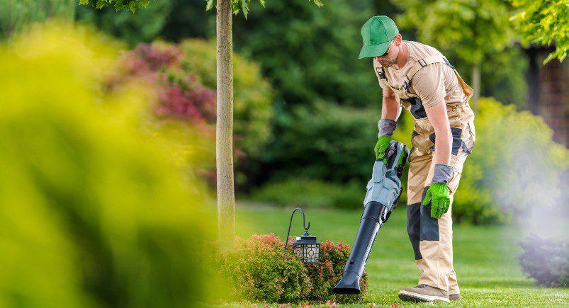 Gardener working in the field