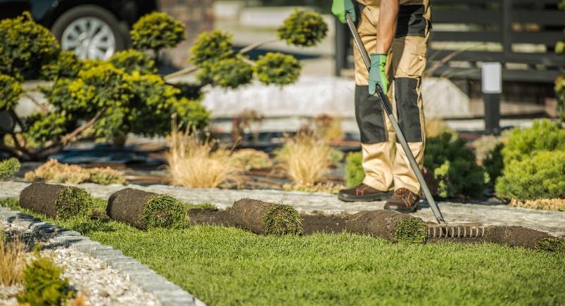 Landscaper unfurling grass as he manicures yard