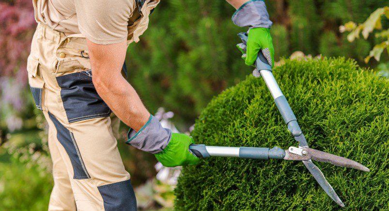 Landscaping companies can rely on the capabilities of Actsoft's signature Mobile Workforce Management platform for accurate timekeeping and all aspects of managing their business.