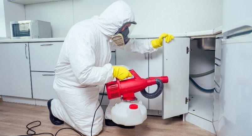 Pest control employee spraying pesticides