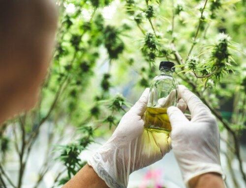 How Tech is Driving Innovation & Growth for Cannabis Companies