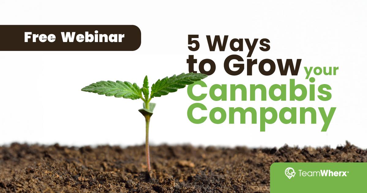 Webinar - 5 Ways to Grow a Cannabis Company