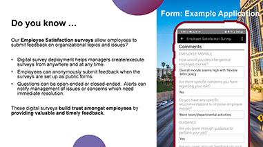 Employee Satisfaction Surveys